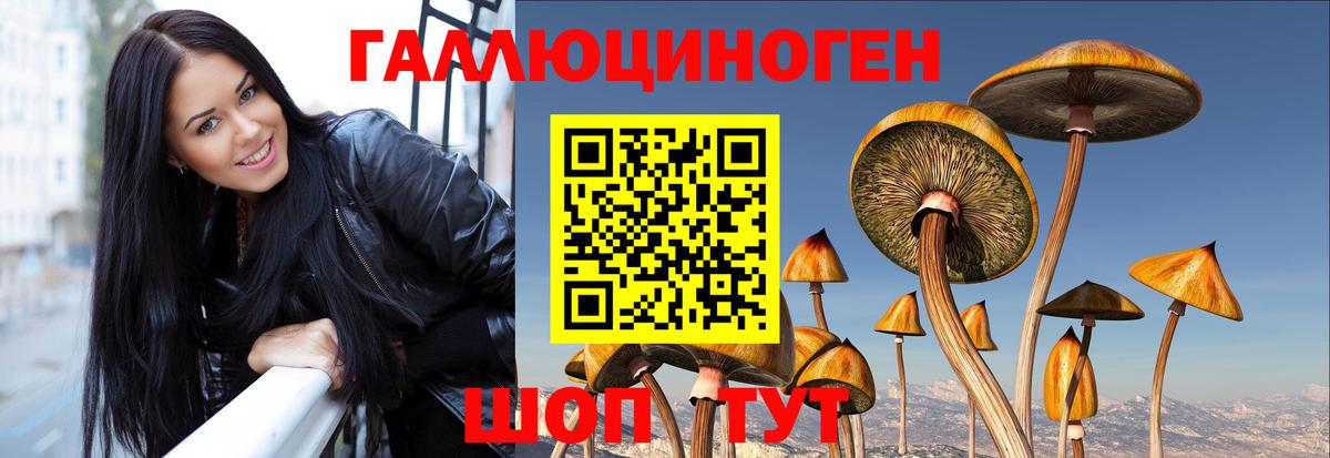 Галлюциногенные грибы ЛСД  Псилоцибиновые грибы Magic Shrooms  Вход с VPN  дарнет шоп  Касимов 